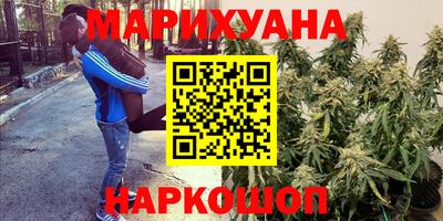 дживик Будённовск