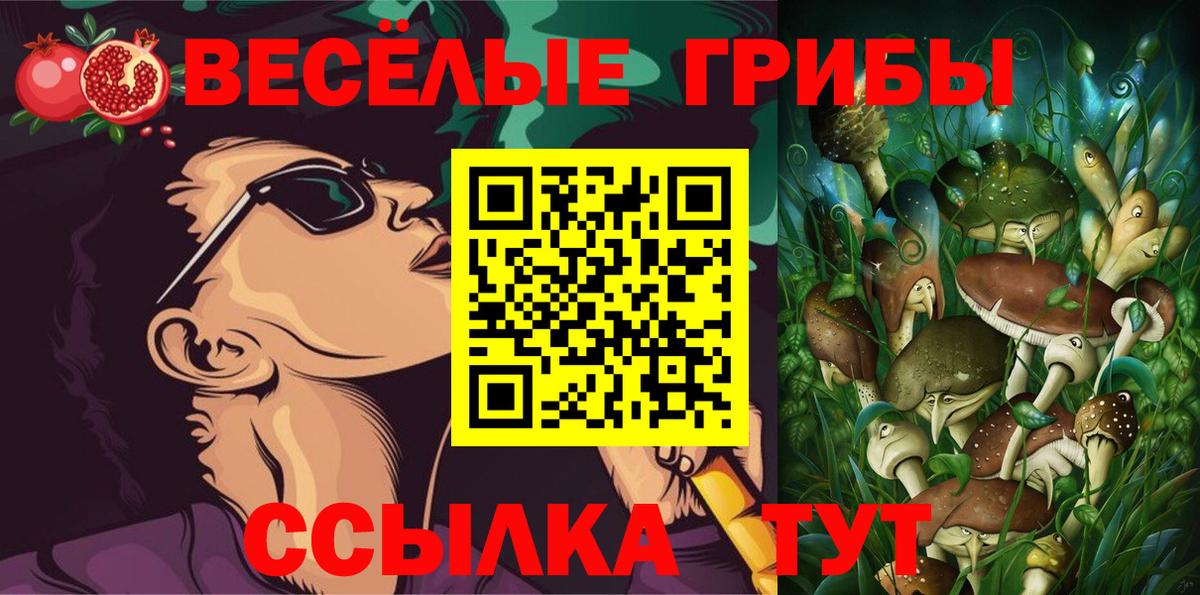 Псилоцибиновые грибы Cubensis Шумерля