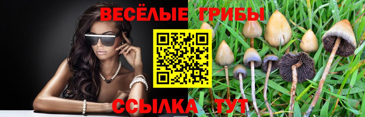 Галлюциногенные грибы мухоморы  Галлюциногенные грибы прущие грибы  Вход с VPN  Шумерля 